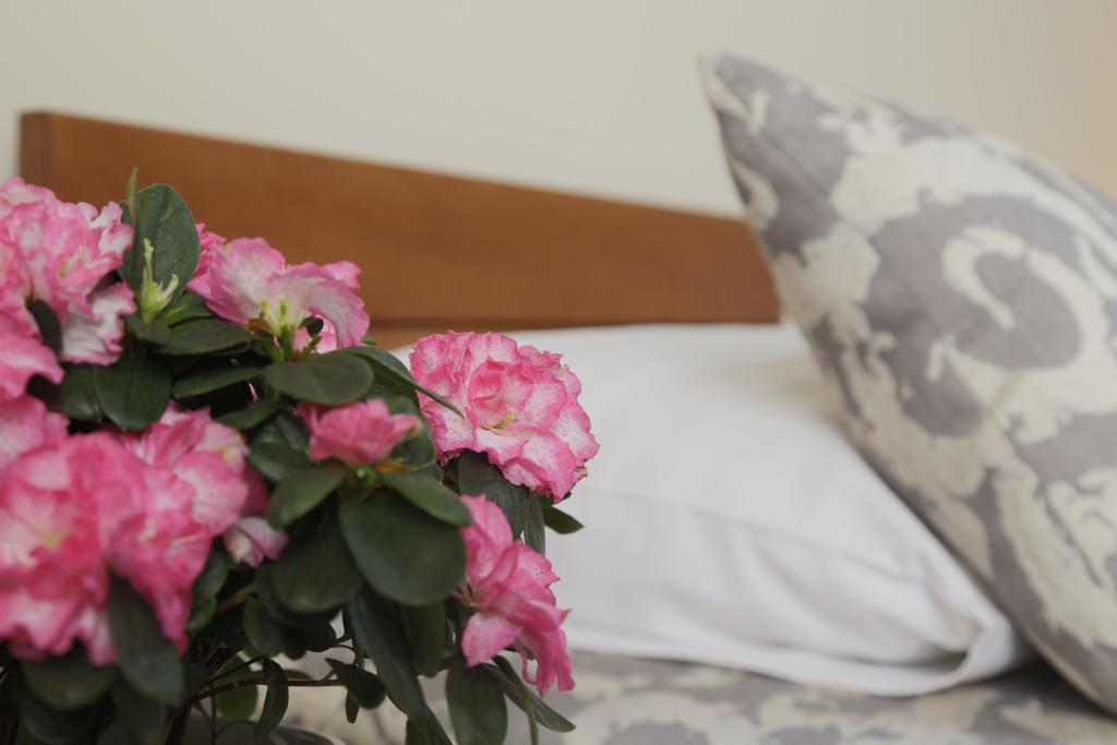 Accommodation Tara Βελιγράδι Εξωτερικό φωτογραφία